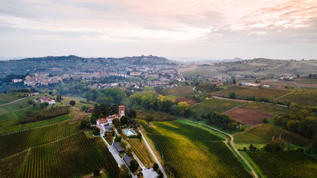 Bracco Mauro