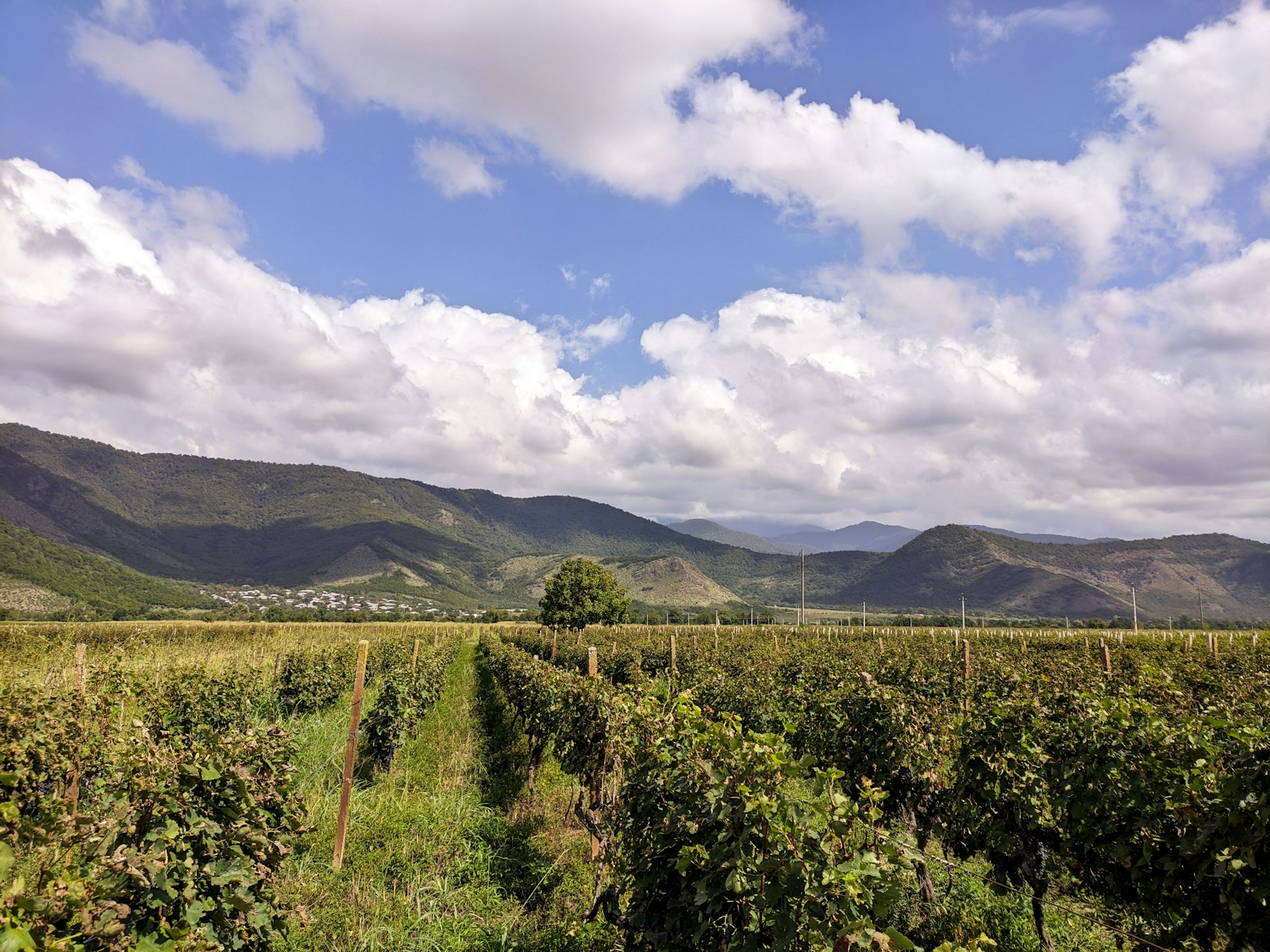 Adjara