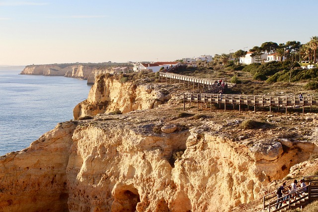 Algarve Vineyards