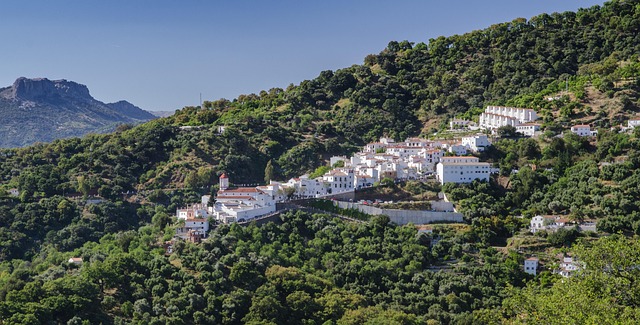 Andalucía Vineyards