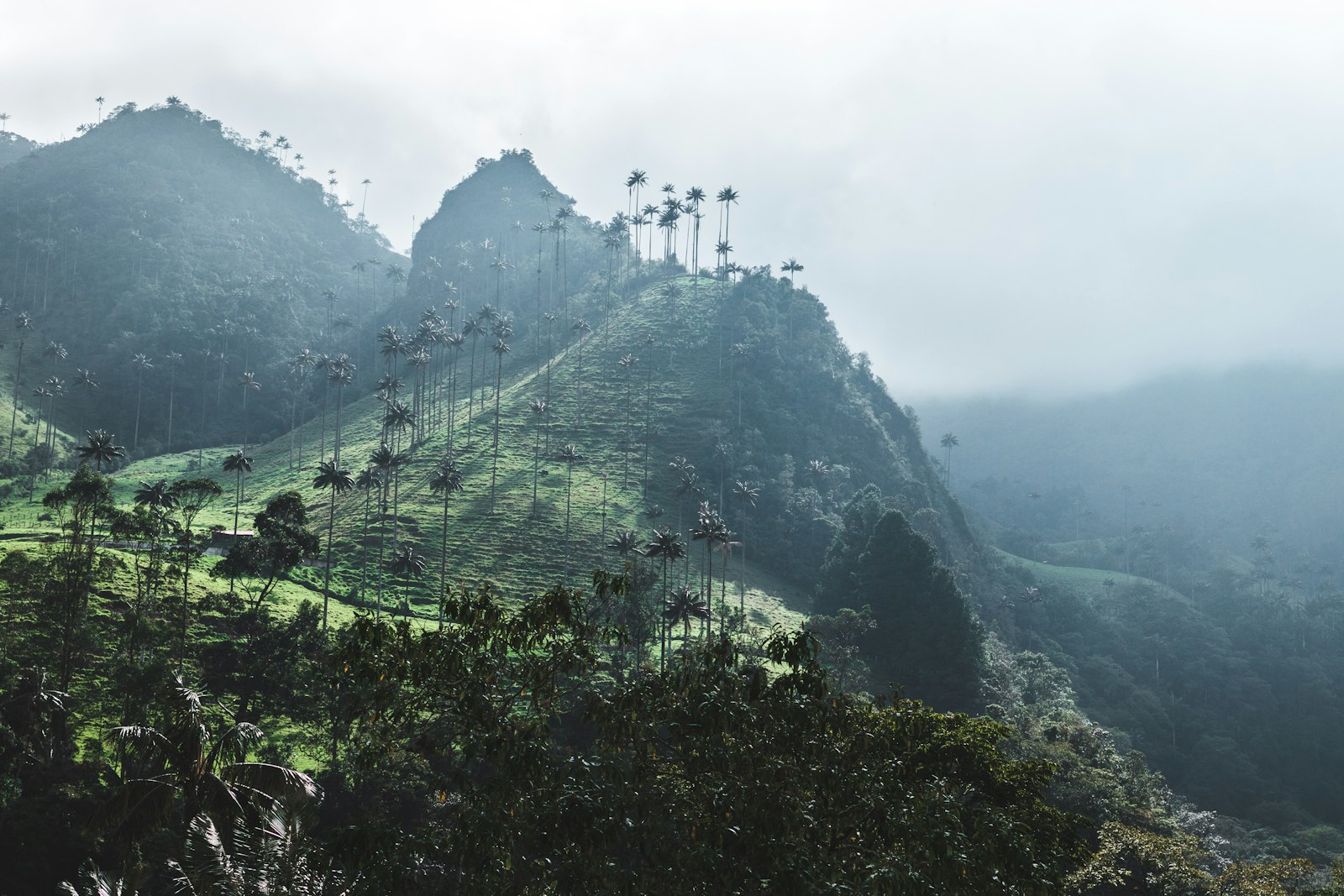 Antioquia