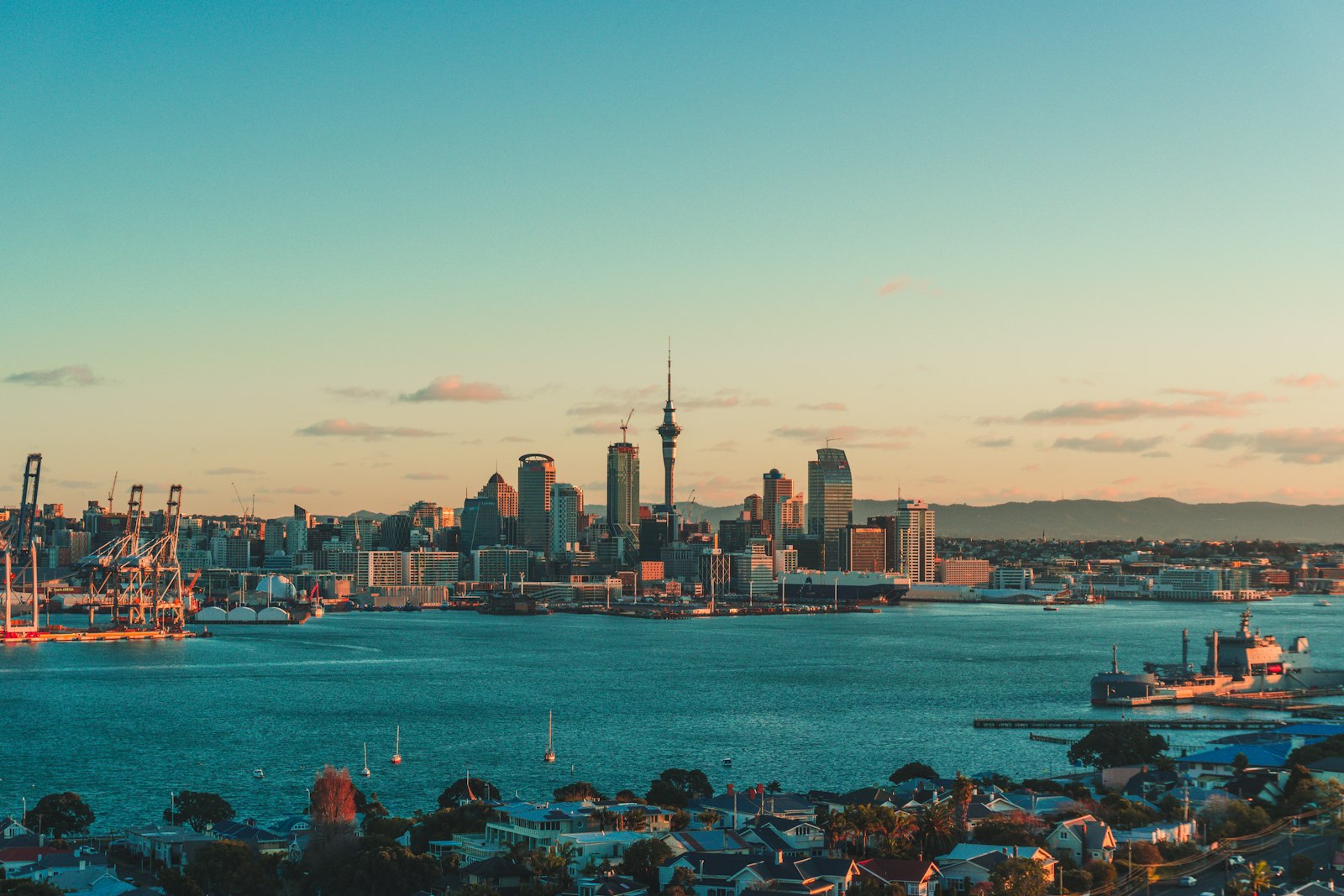 Auckland Vineyards