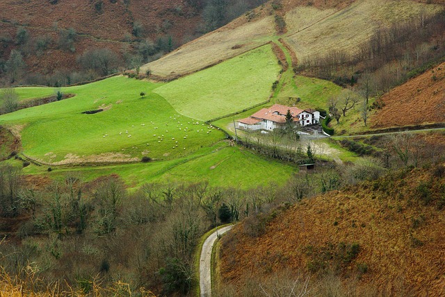 Basque Country Vineyards