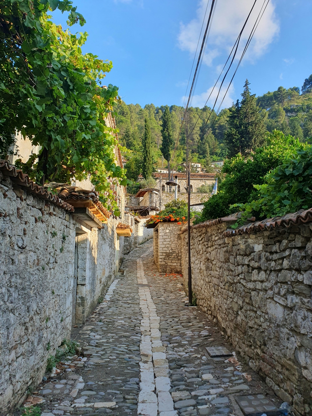 Berat Vineyards