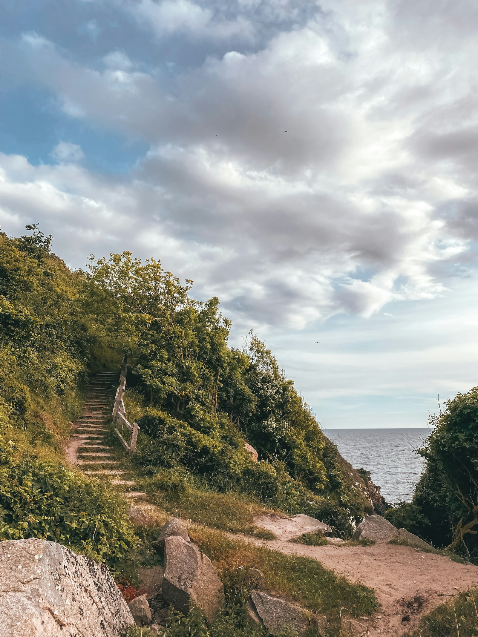 Bornholm Vineyards