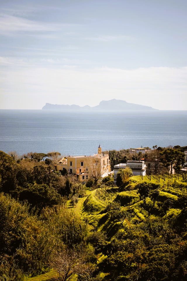 Tenuta Ievoli
