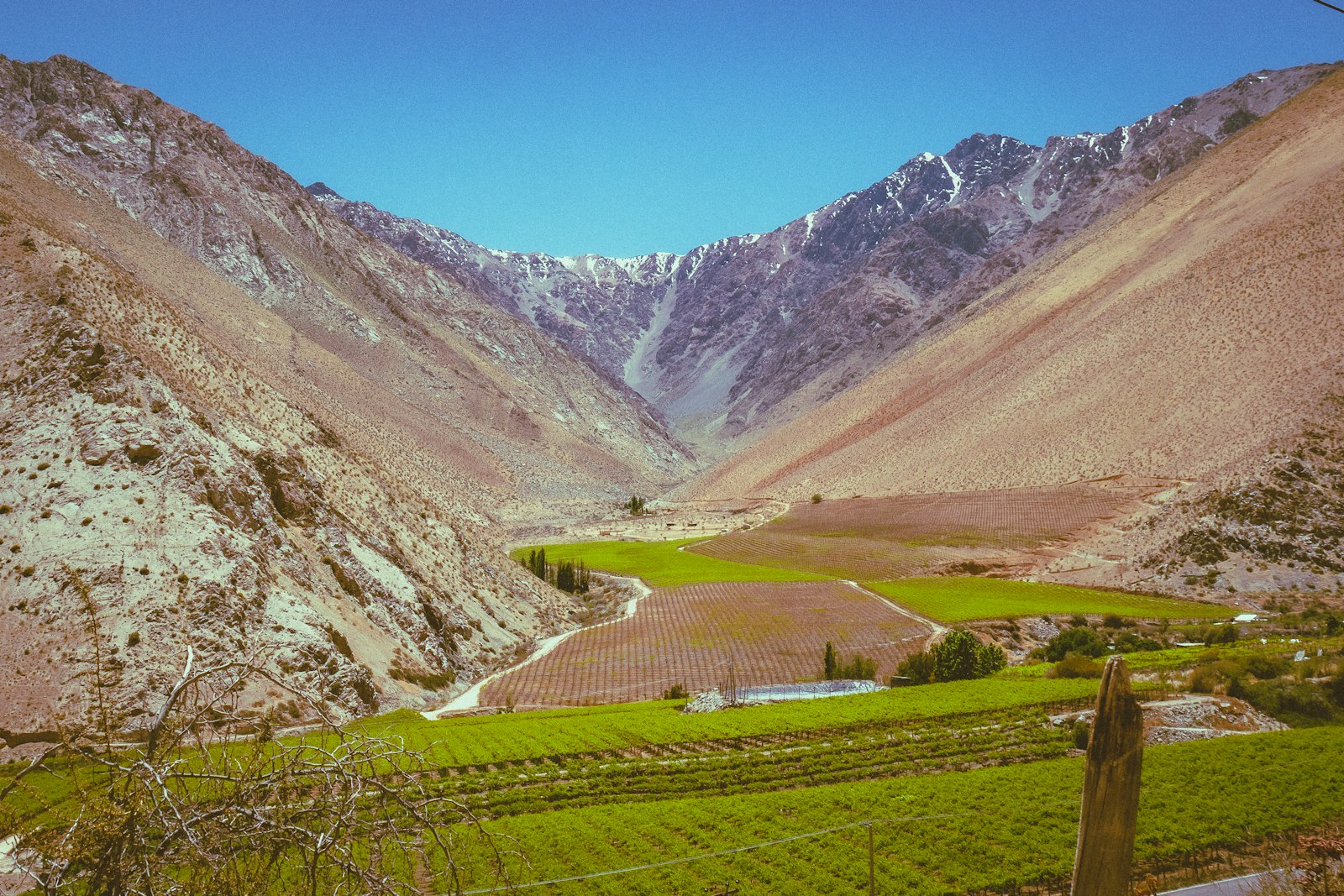 Casablanca Vineyards