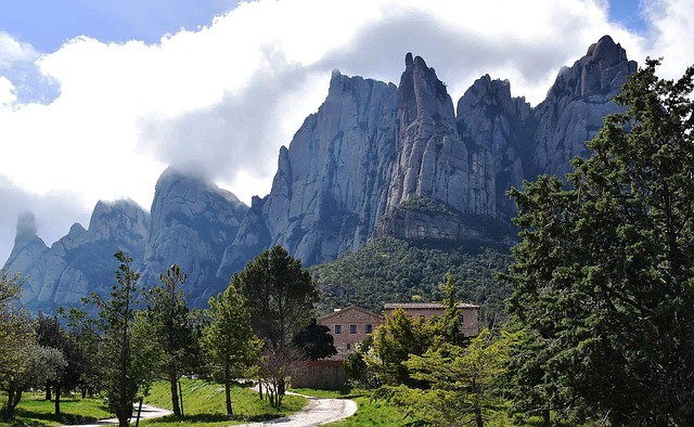 Catalonia Vineyards