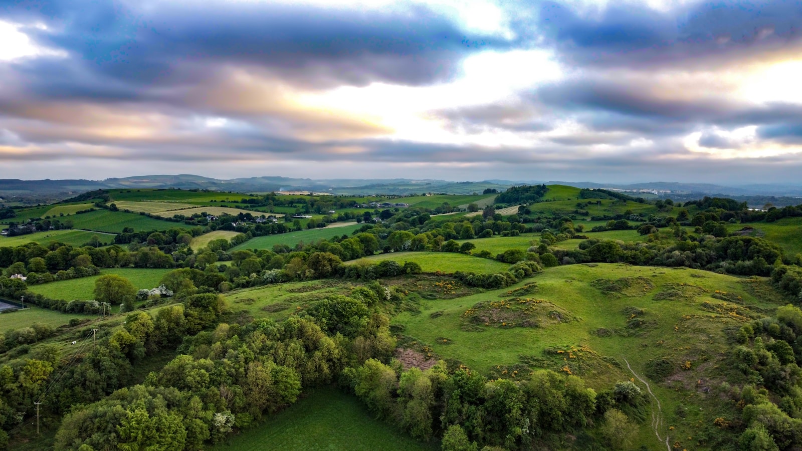 Cork Vineyards
