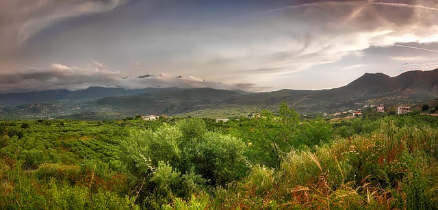 Crete Vineyards