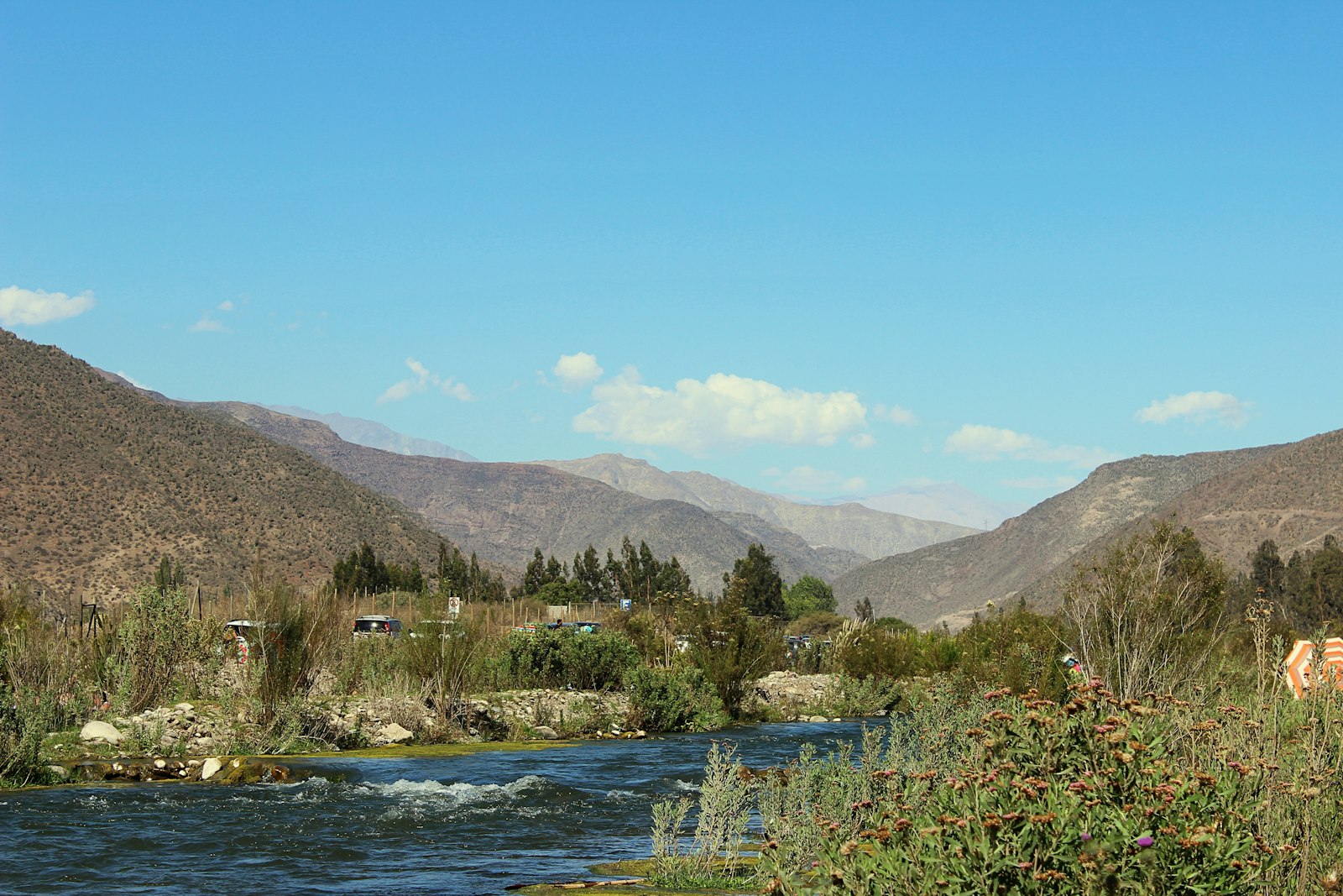 Curicó Vineyards
