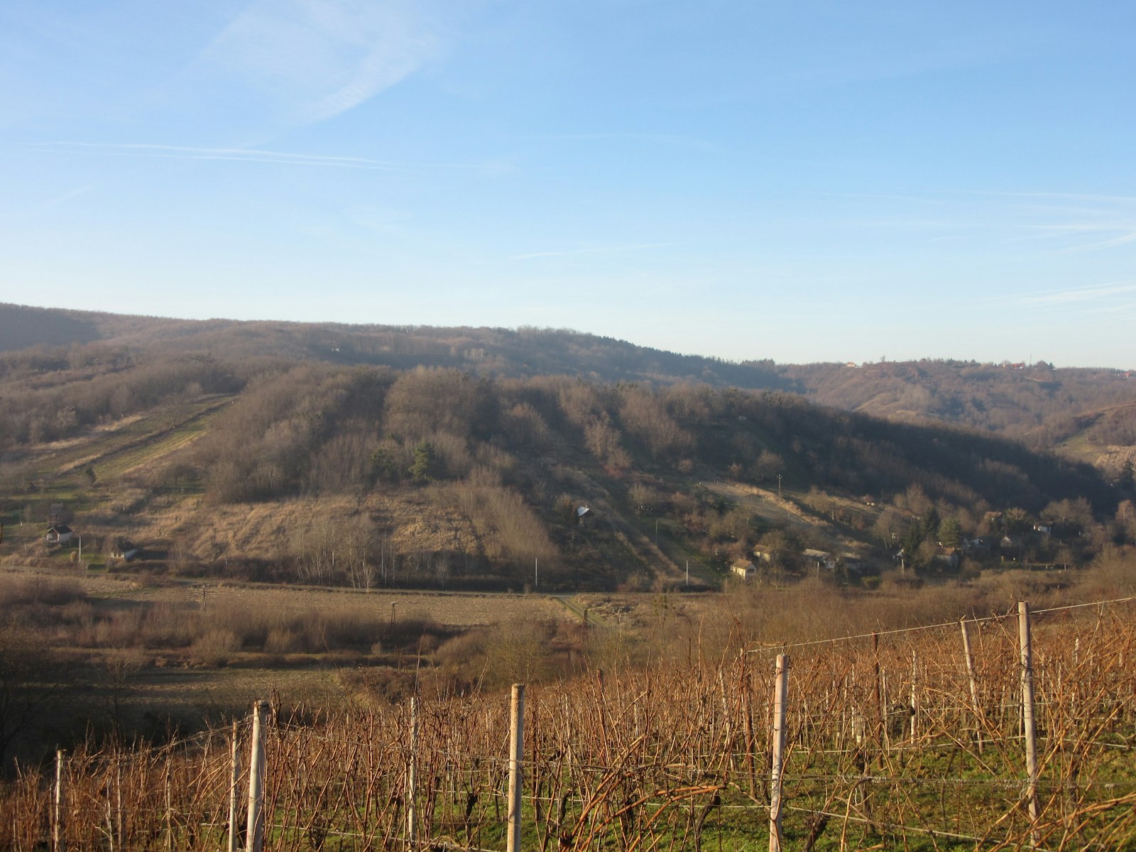 Eger Vineyards