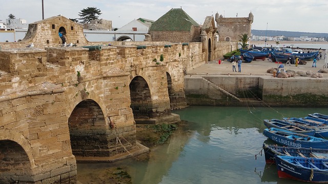 Essaouira Vineyards
