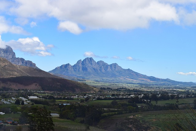 Franschhoek Vineyards