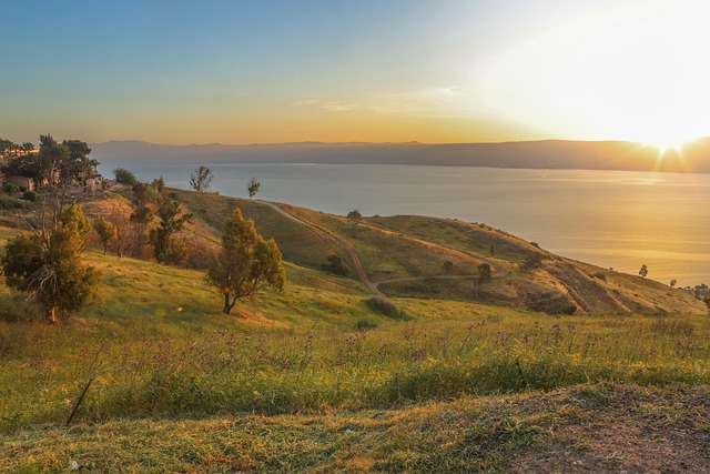 Galilee Vineyards