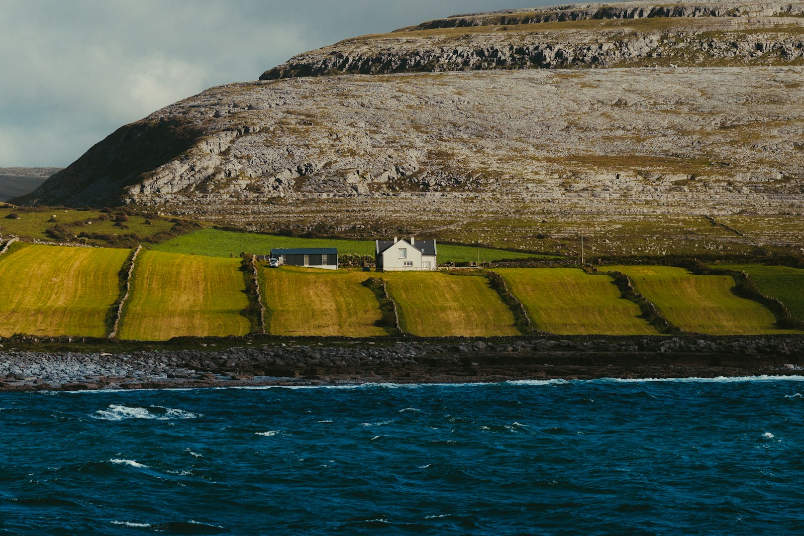 Galway Vineyards