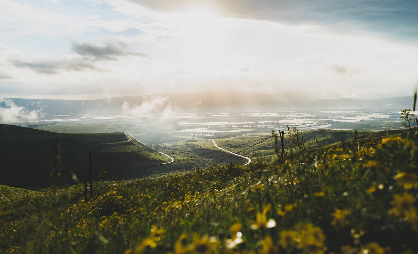 Golan Heights