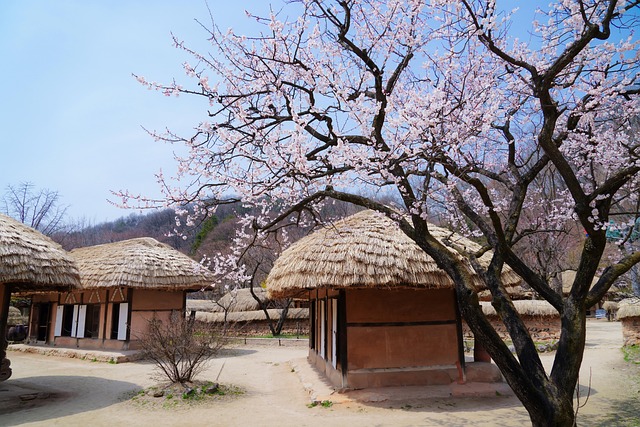 Sanmeoru Farm