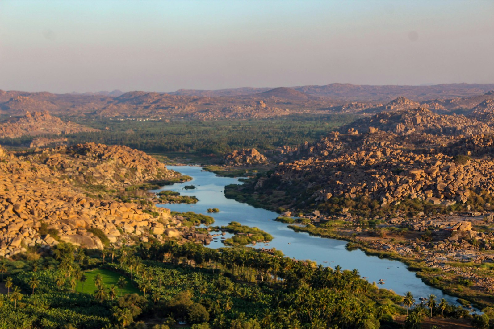 Hampi Hills Vineyards