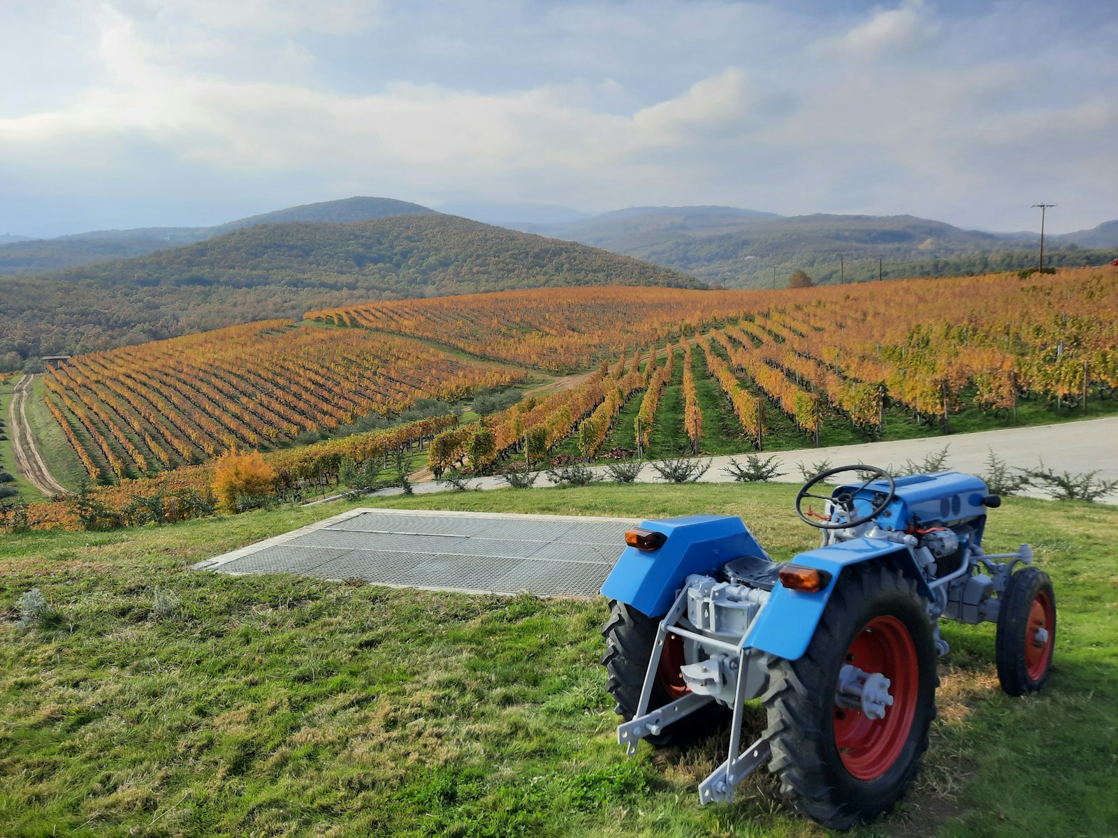 Hessische Bergstraße Vineyards