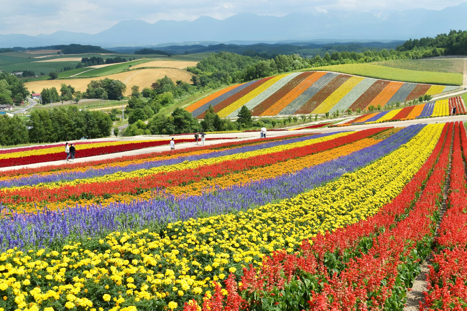 Hokkaido