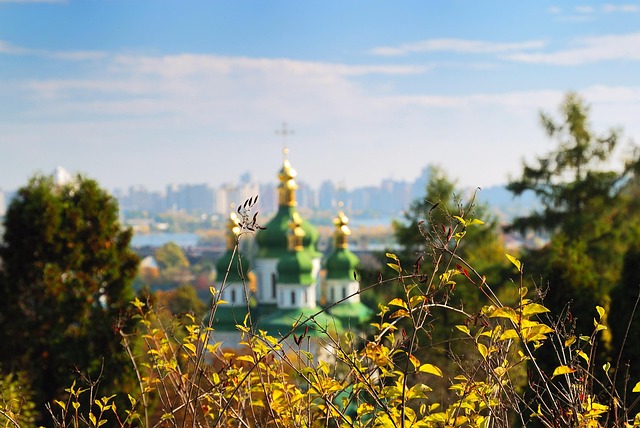 Kyiv Vineyards
