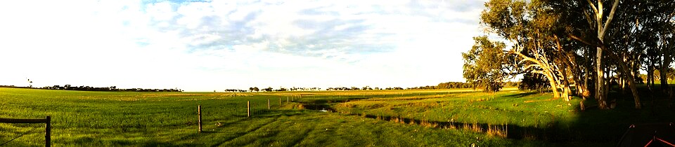 Angas Plains Wines