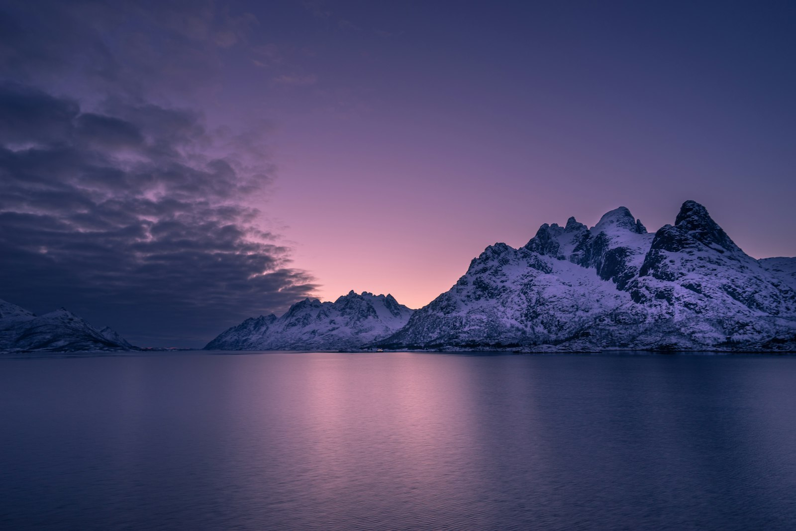 Lofoten Vineyards