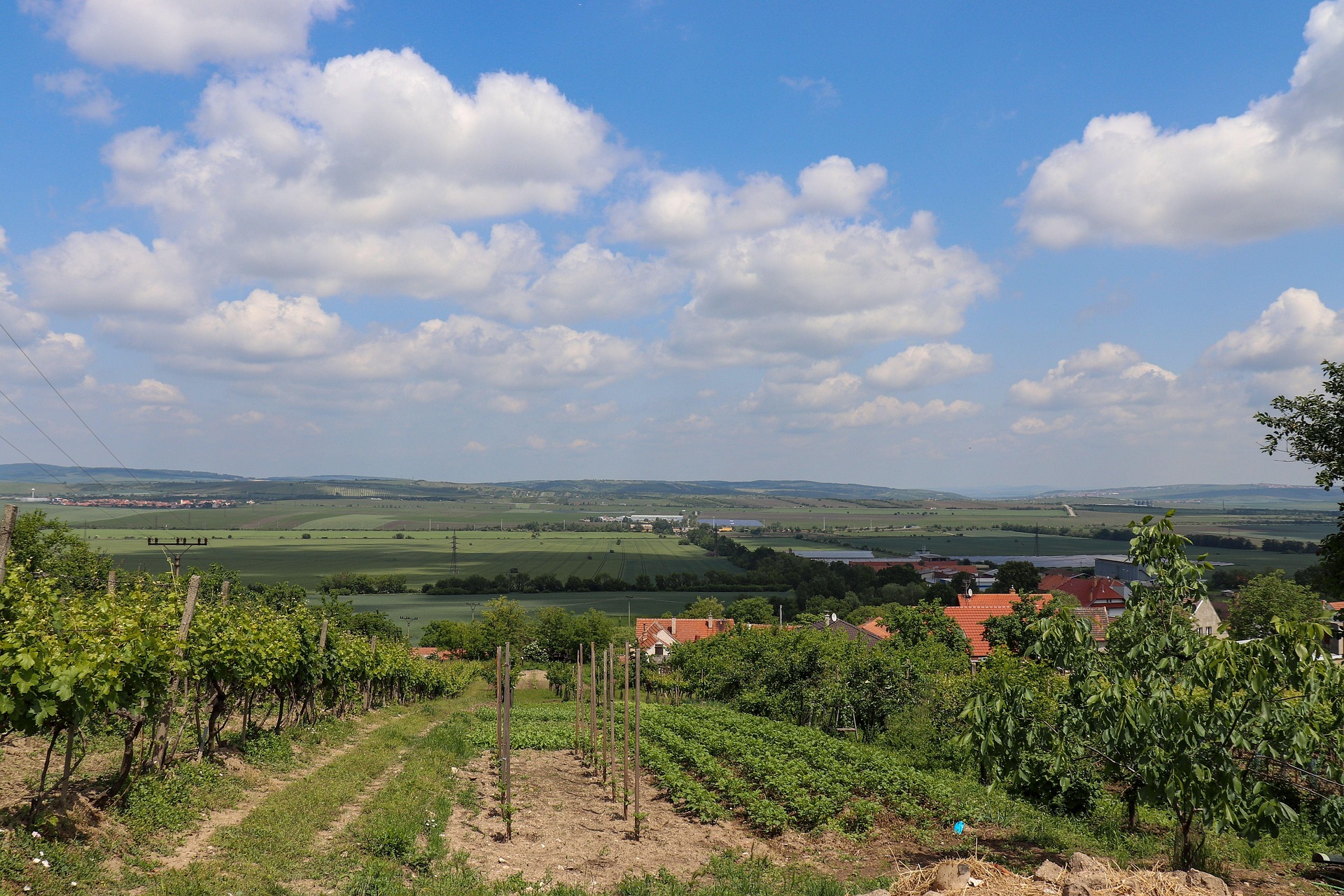 Mikulov