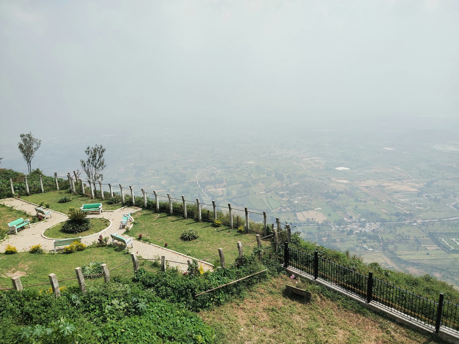 Nandi Hills Vineyards