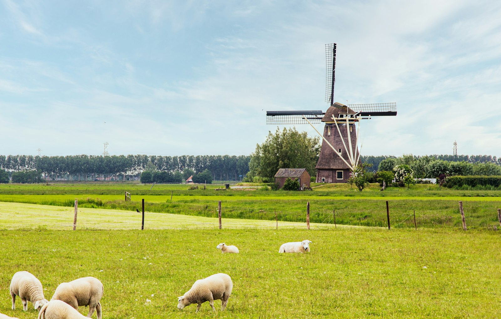 North Brabant