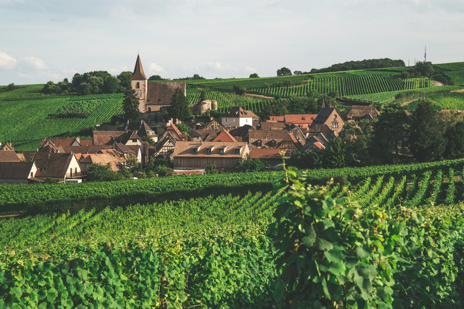 Pfalz