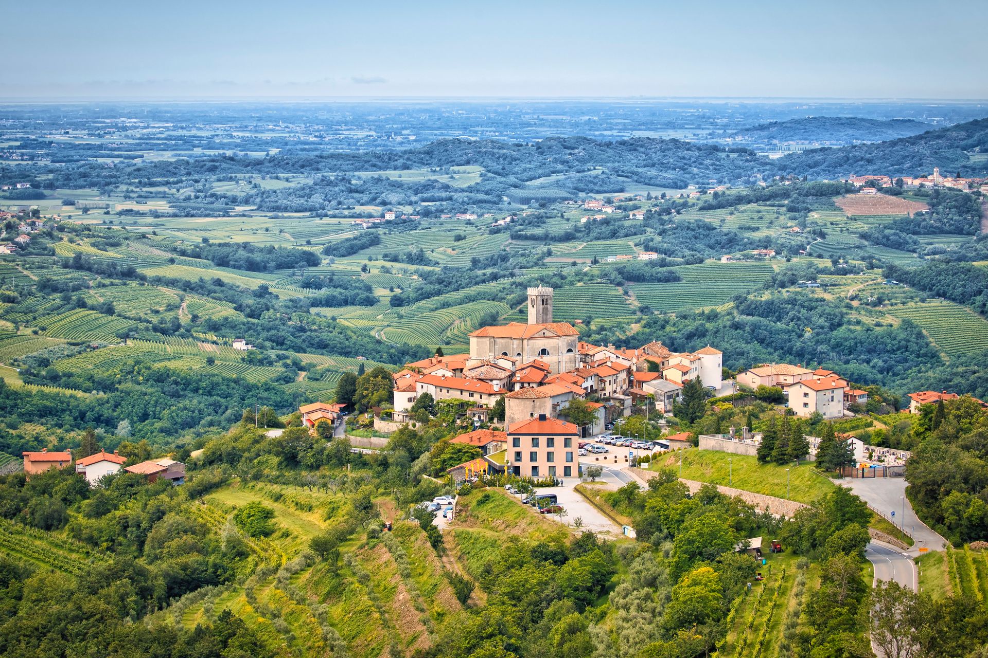 Podravje Vineyards