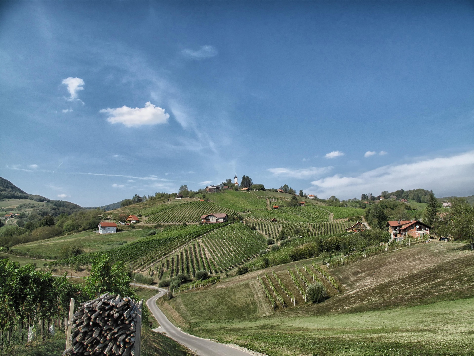 Posavje Vineyards
