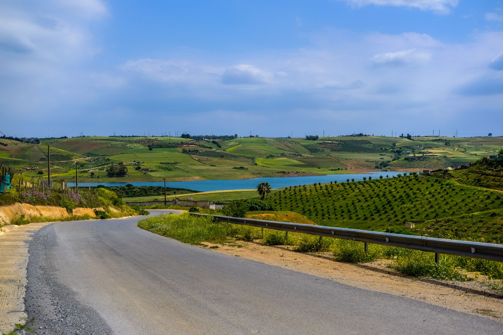 Rabat Vineyards