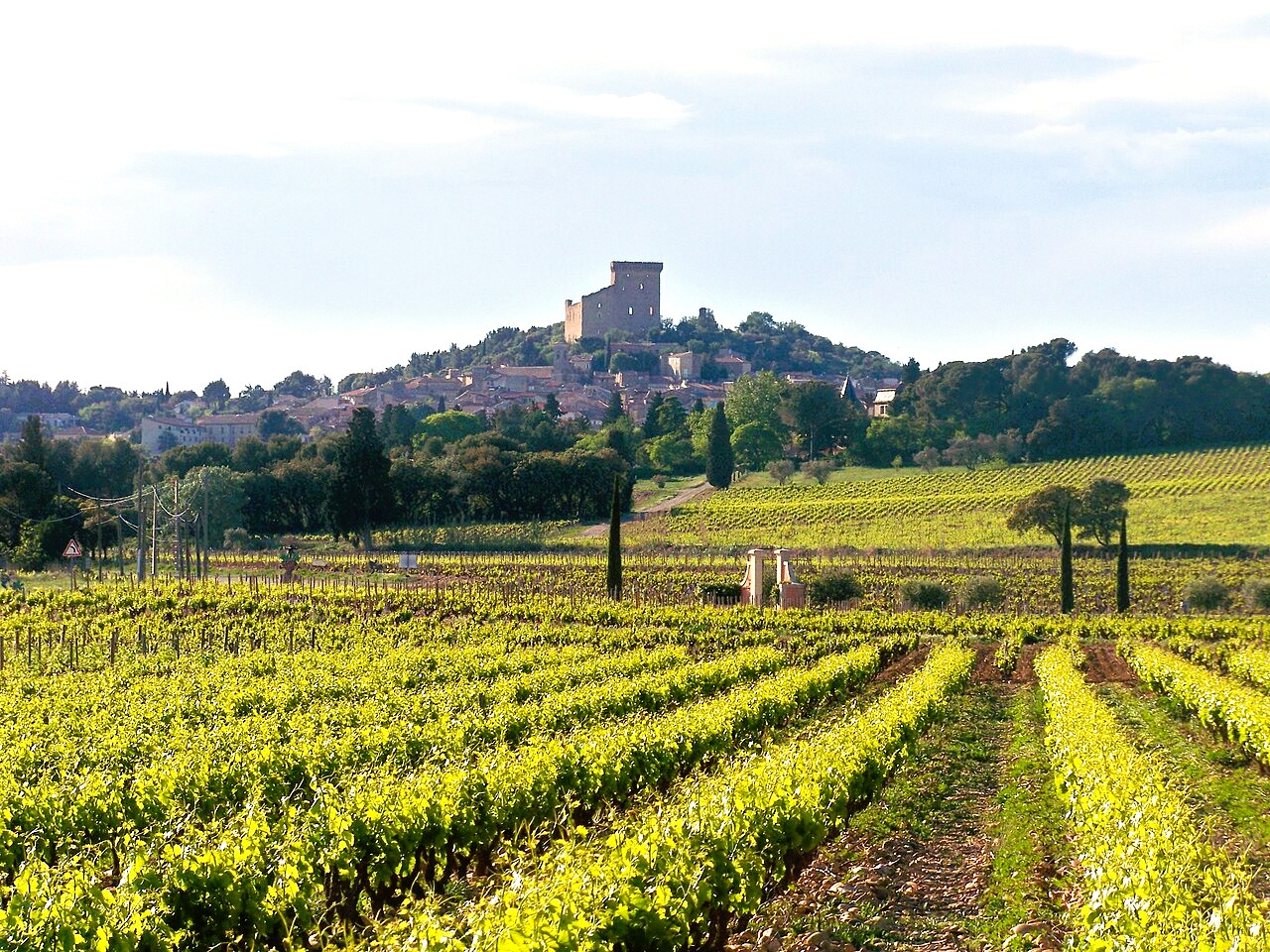 Scea domaine roger Sabon
