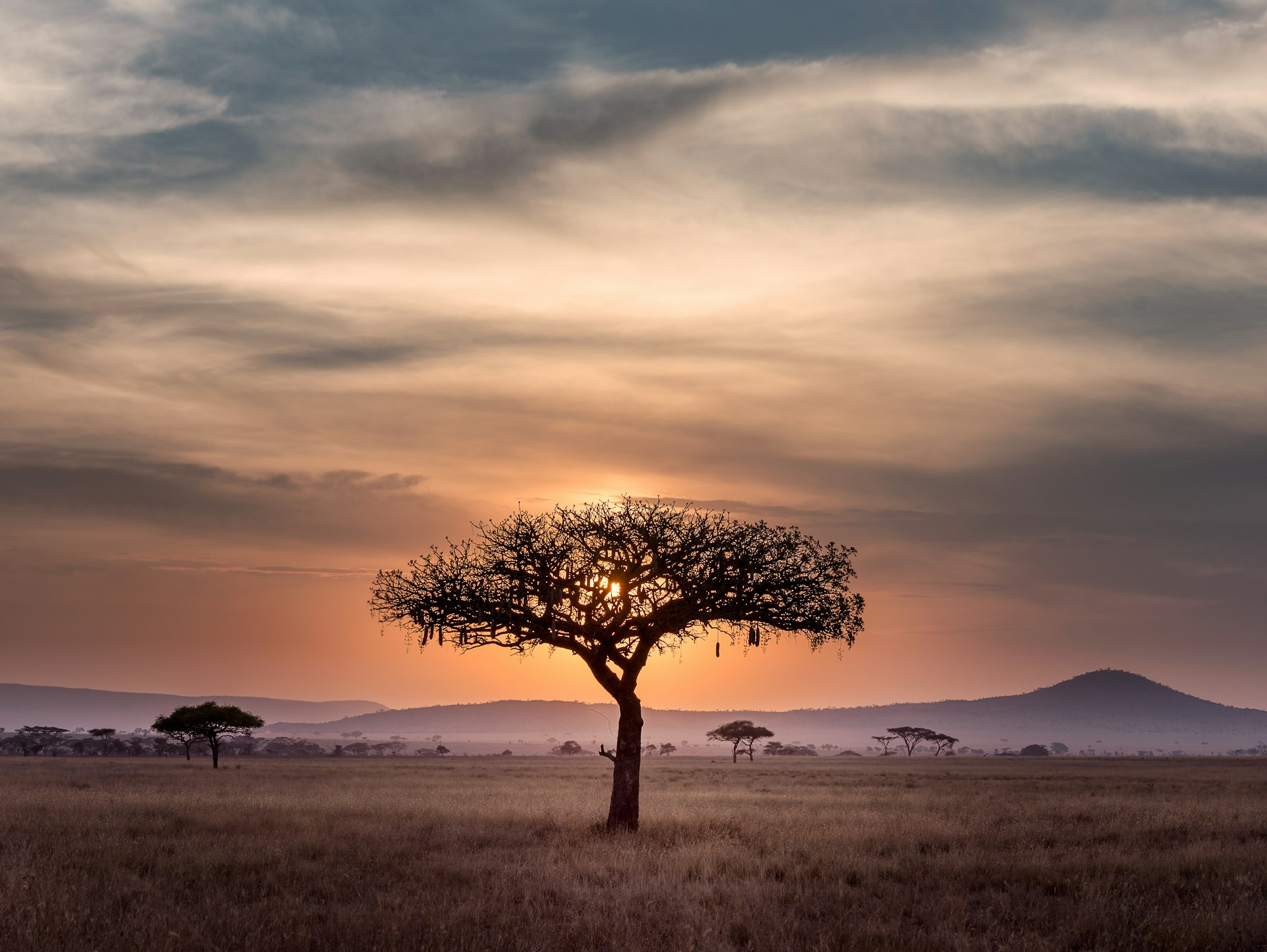 Rift Valley Vineyards