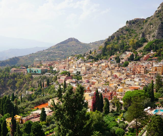 Sicily Vineyards