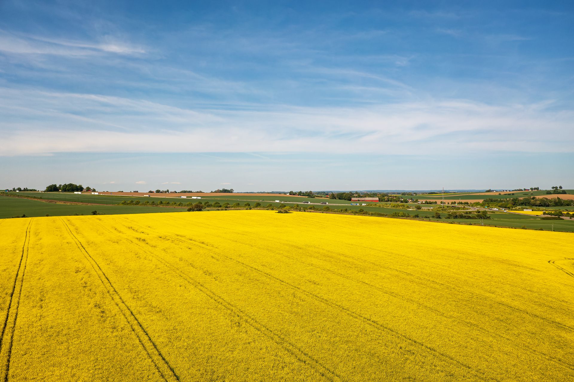 Skåne Vineyards