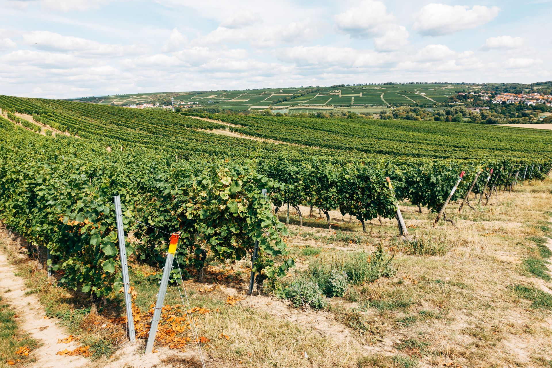 Šumadija