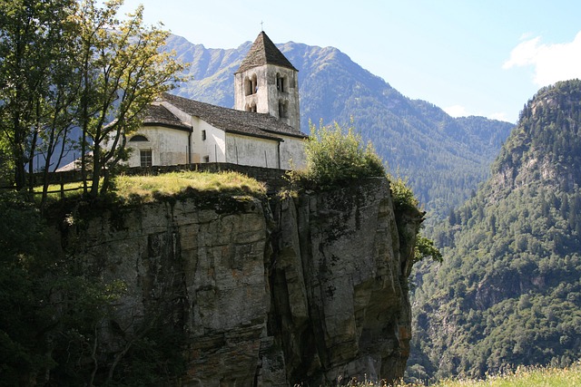 Ticino Vineyards