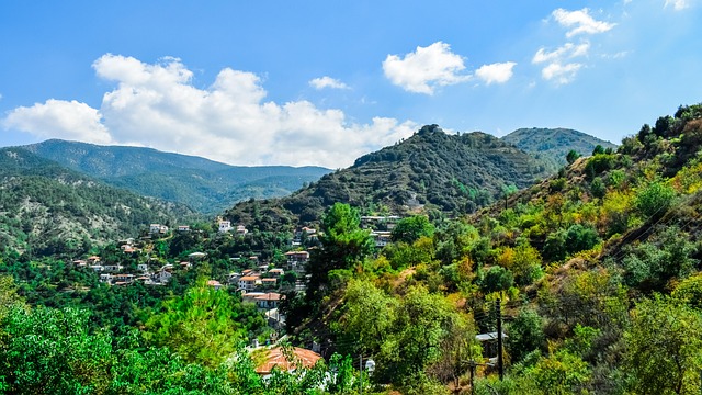 Troodos Mountains Vineyards