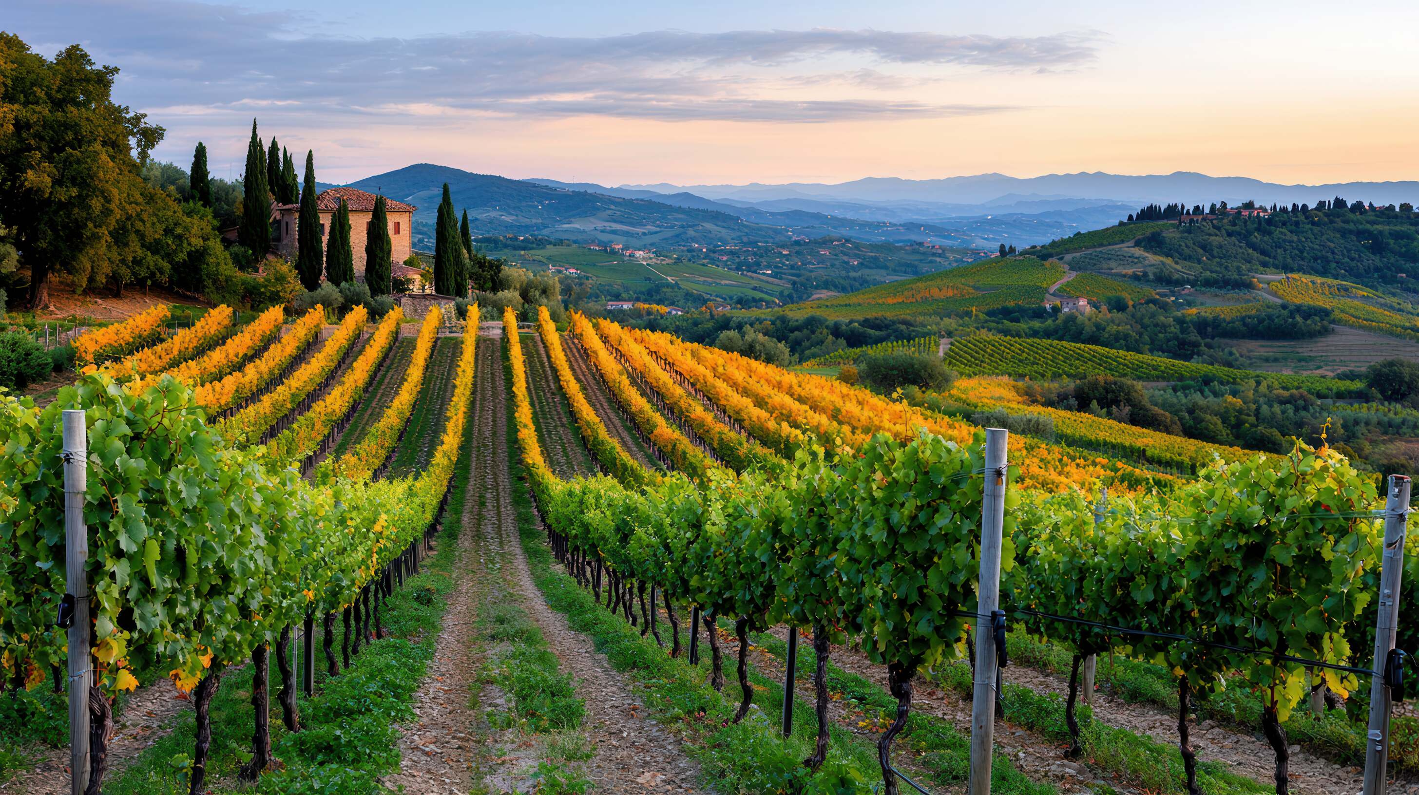 Compagnia Del Vino