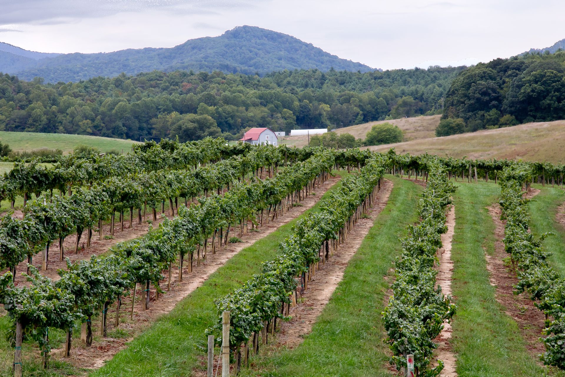 Reserve By Vinowine