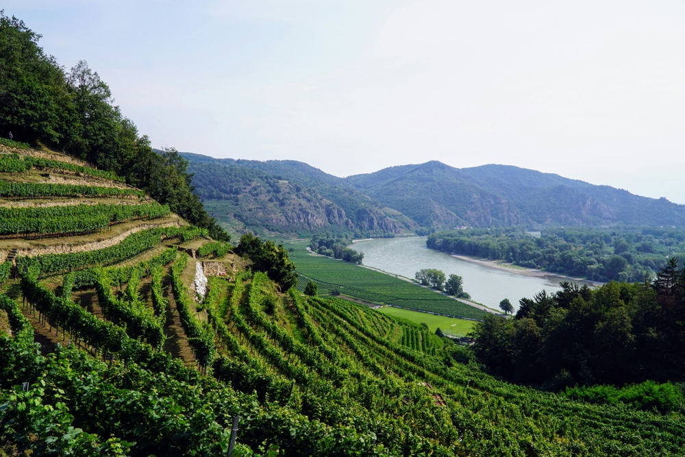 Wachau