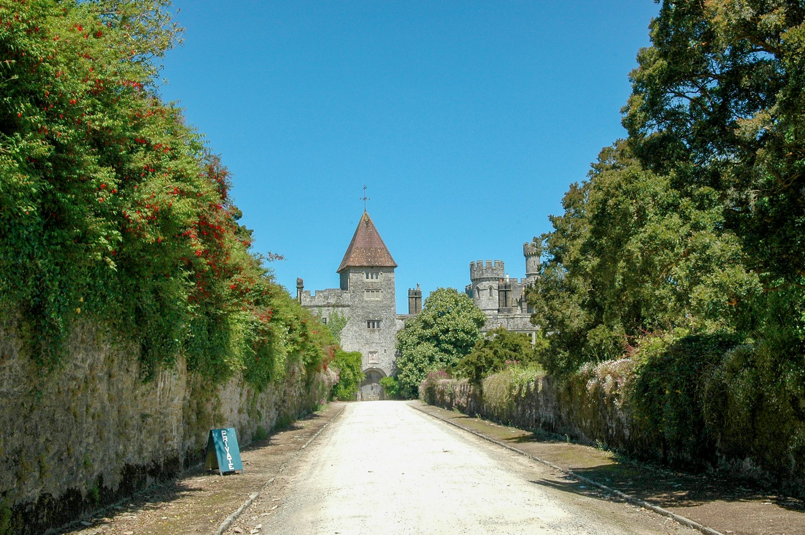 Waterford Vineyards