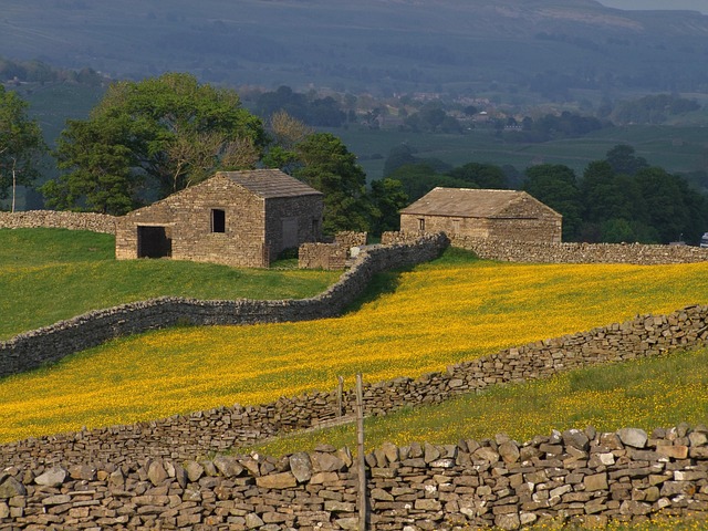 Yorkshire Vineyards